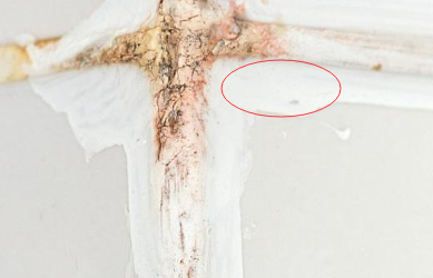 密封膠在生產(chǎn)時可以使用熒光增白劑增白嗎？